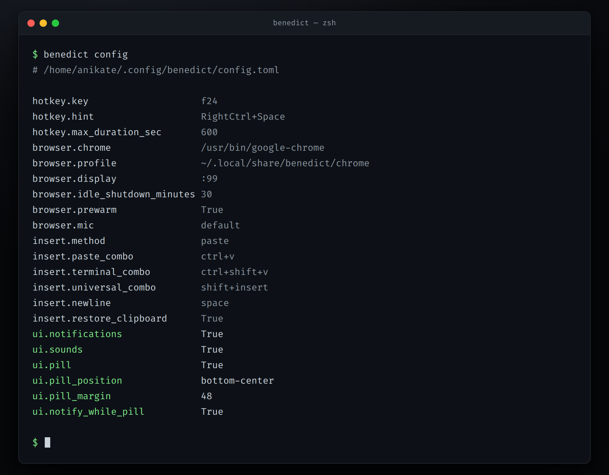 Terminal output of benedict config listing the effective settings